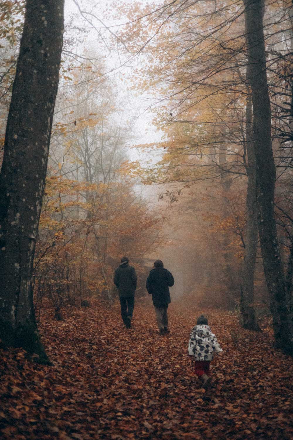 Photographe alsace famille documentaire