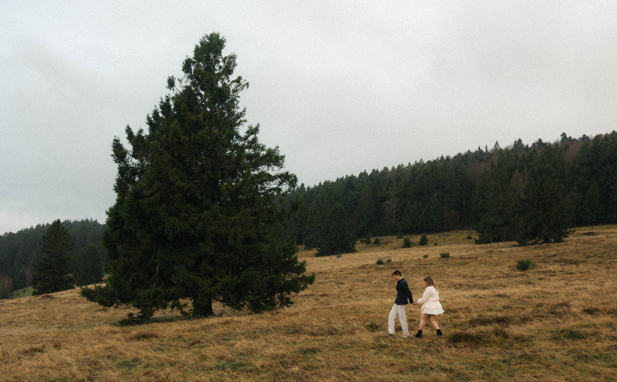 photographe alsace strasbourg